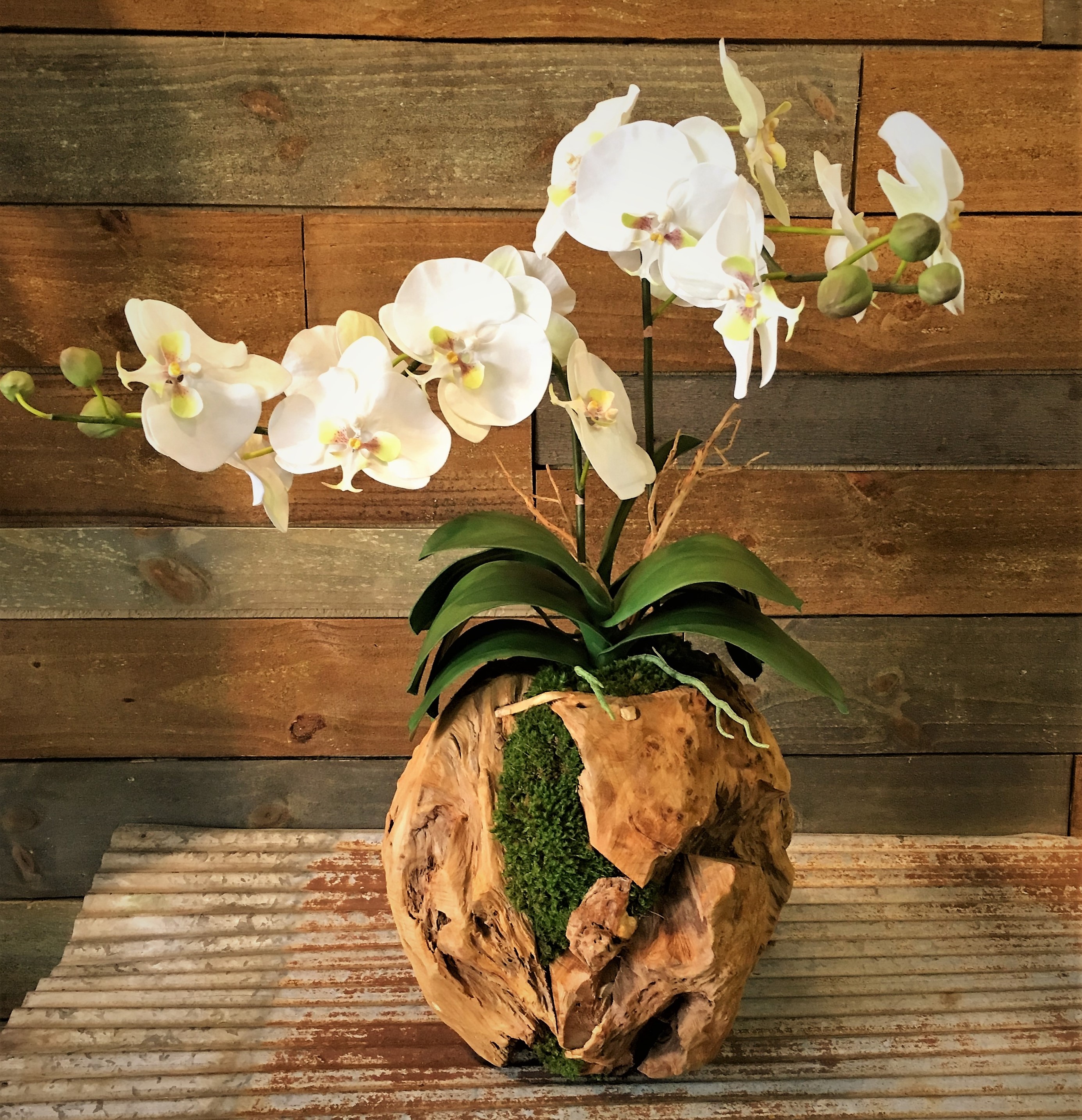 Double Orchid in a Hand Crafted Wooden Sphere
